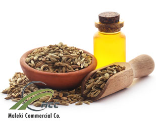 Fennel essential oil, maleki commercial co