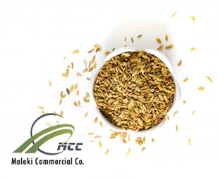 Fennel essential oil, maleki commercial co