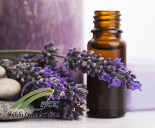 Lavander essential oil, maleki commercial co