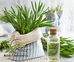 Rosemary essential oil, maleki commercial co