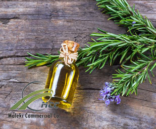 Rosemary essential oil, maleki commercial co