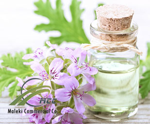Geranium essential oil, maleki commercial co