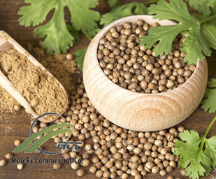 Coriander Seed, maleki commercial co