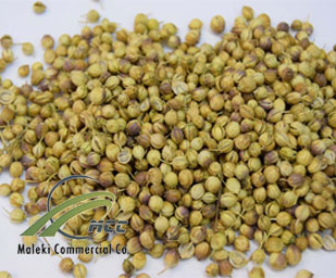 Coriander Seed, maleki commercial co