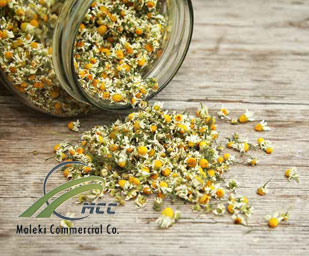 German chamomile, maleki commercial co